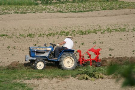 aratura leggera a Montegiusto