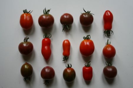 pomi
