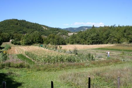 Campo La Corte