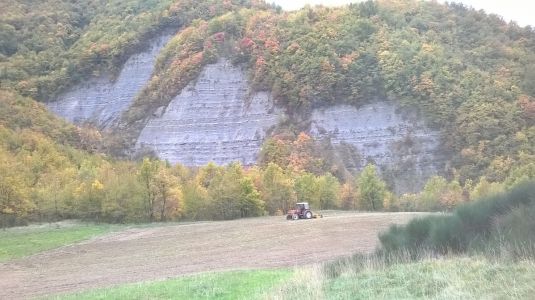 Fondaccio del Campo del Monte